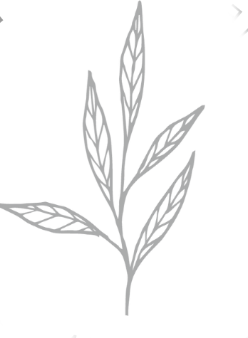 logo dark